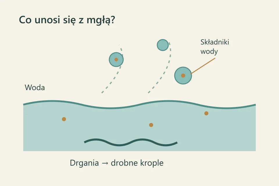 Przekrój pojęciowy: drgająca powierzchnia wody tworzy krople przenoszące także składniki wody