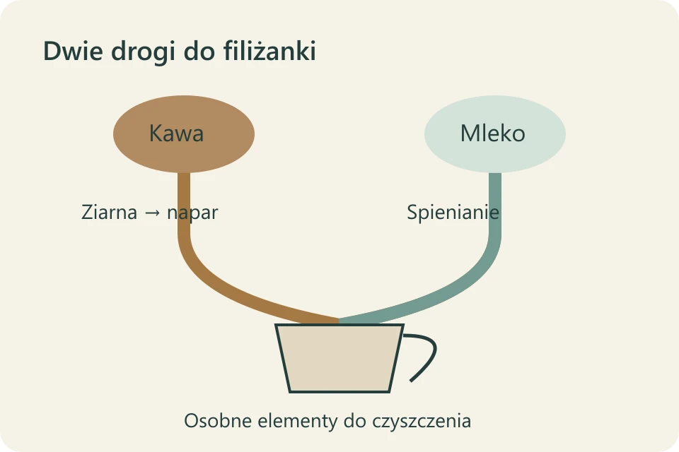 Dwie osobne drogi: kawa z ziaren i mleko ze spienianiem łączą się w filiżance